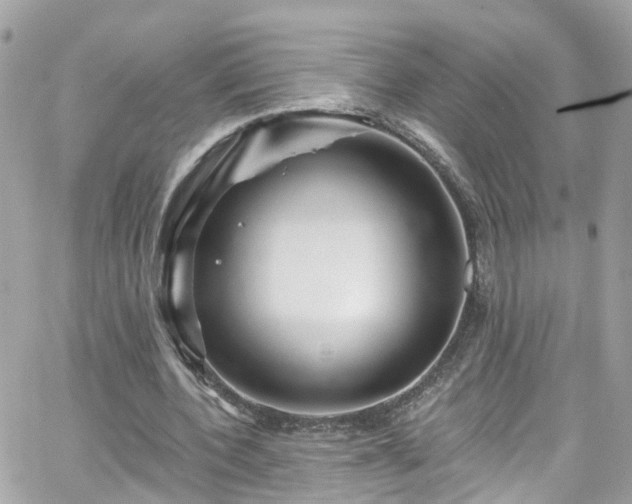 X0000066530532200603241404