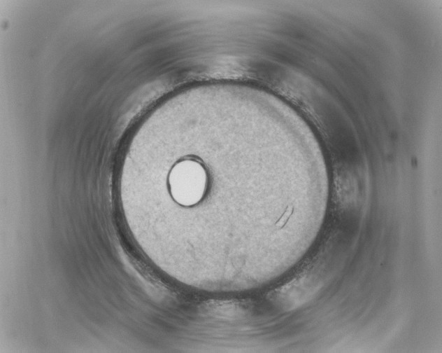 X0000066530534200603241404