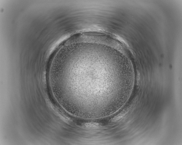 X0000066530535200603241404