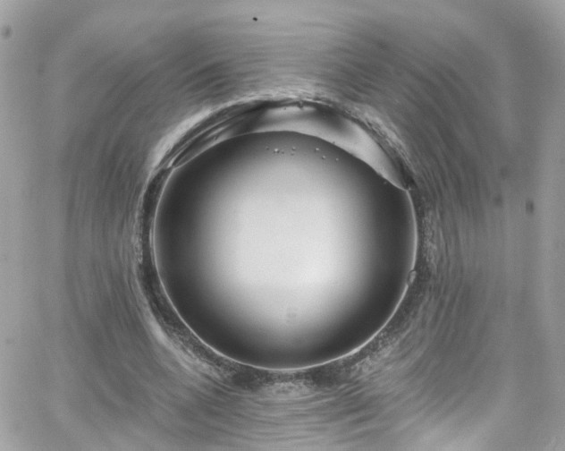 X0000066530536200603241404