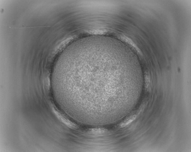 X0000066530541200603241404