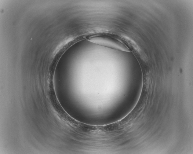 X0000066530544200603241404