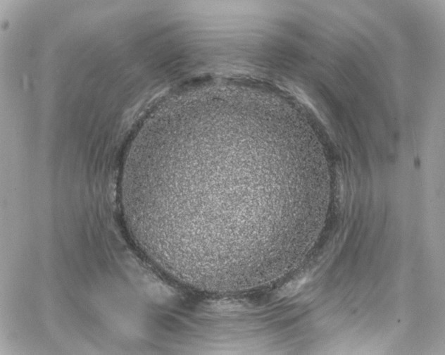 X0000066530545200603241404