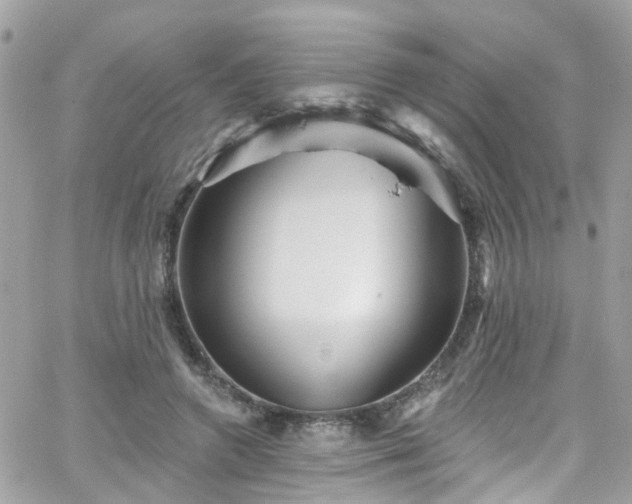 X0000066530546200603241404