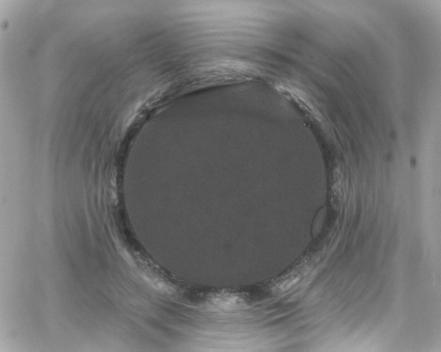 X0000066530547200603241404