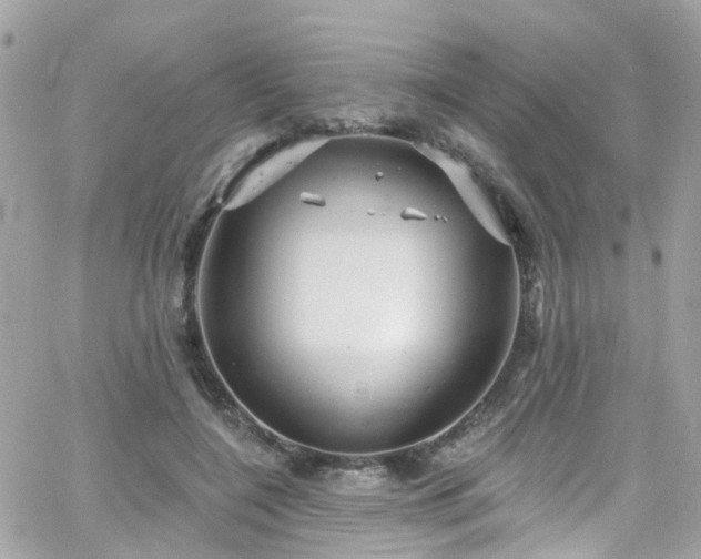 X0000066530548200603241404