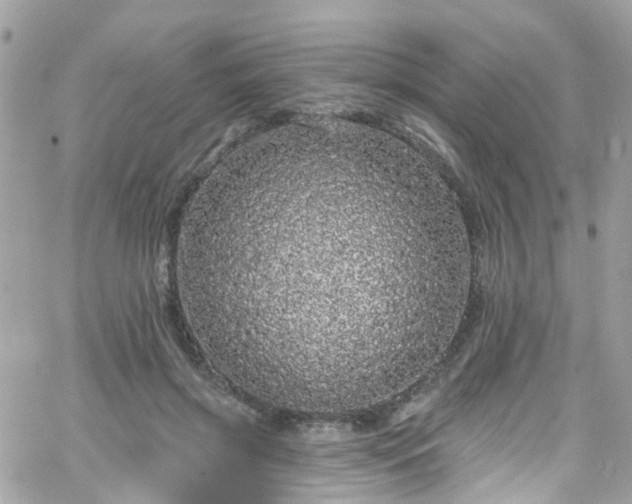 X0000066530549200603241404