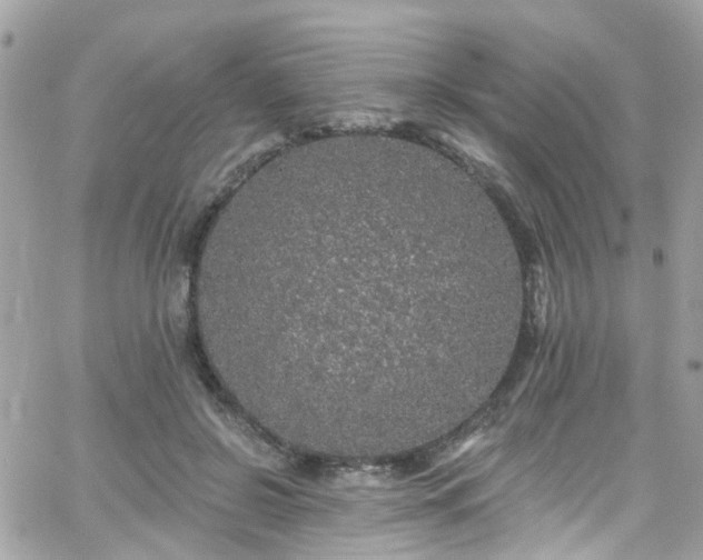 X0000066530550200603241404