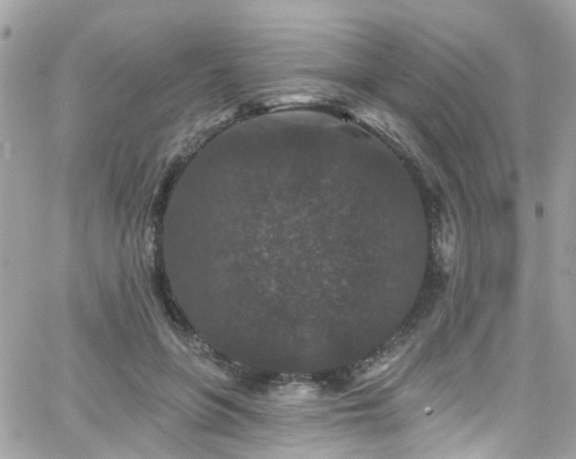 X0000066530551200603241404