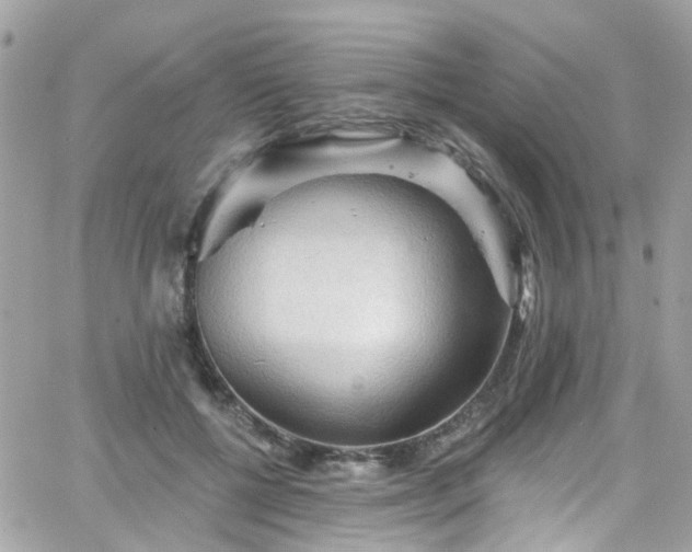 X0000066530552200603241404