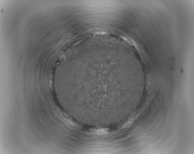 X0000066530553200603241404