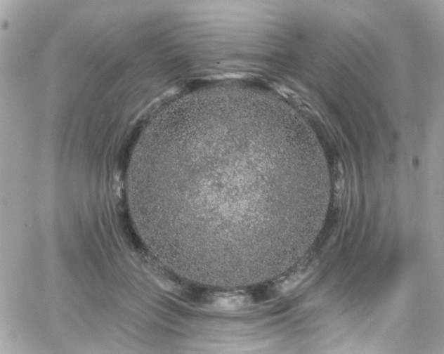 X0000066530555200603241404