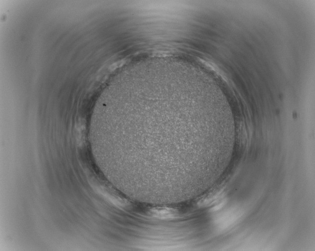 X0000066530557200603241404