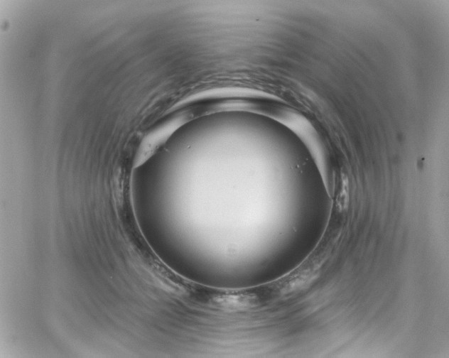 X0000066530558200603241404