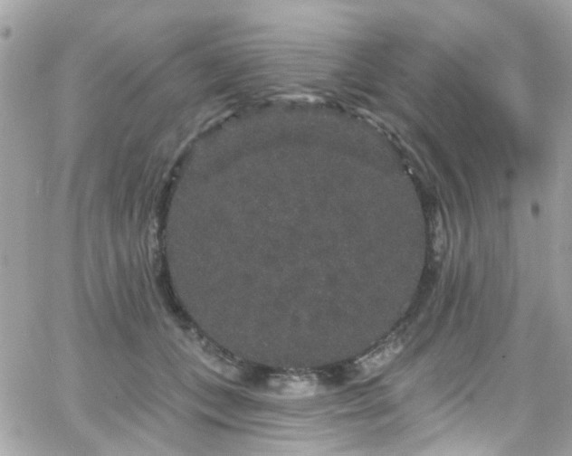 X0000066530559200603241404