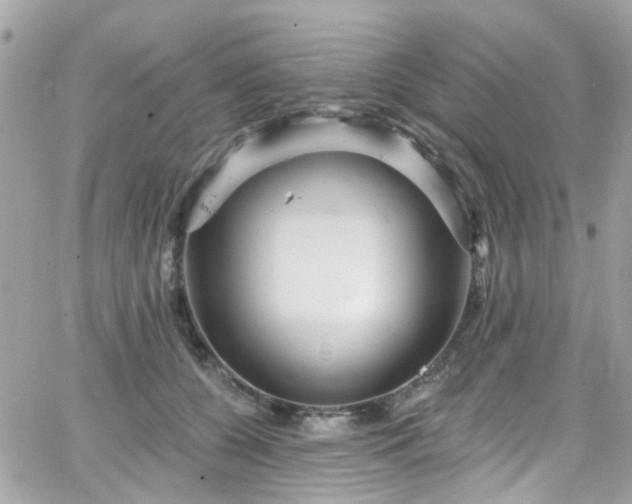 X0000066530560200603241404