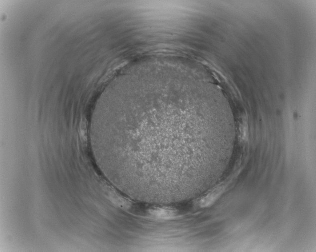 X0000066530561200603241404