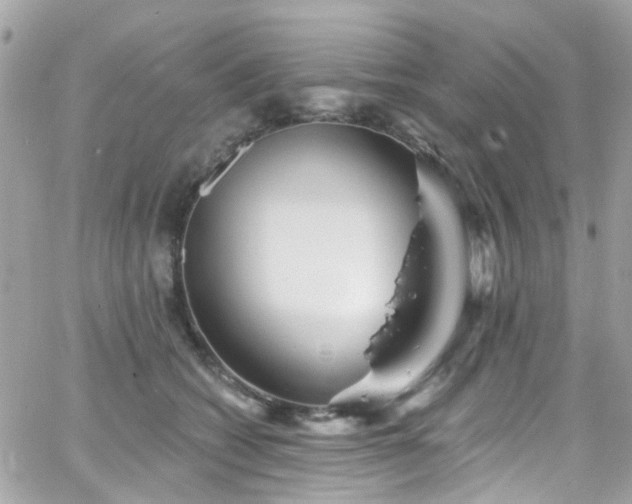 X0000066530562200603241404