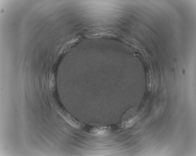 X0000066530563200603241404