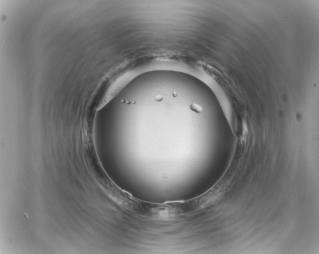 X0000066530564200603241404