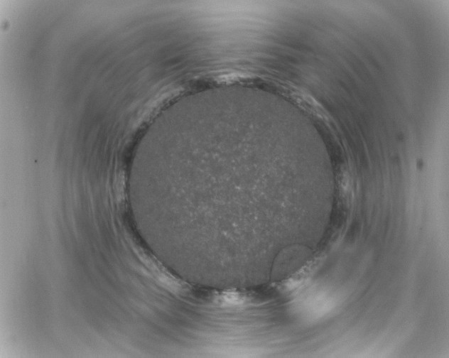 X0000066530565200603241404