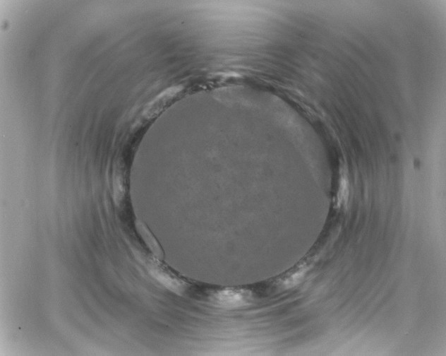 X0000066530566200603241404