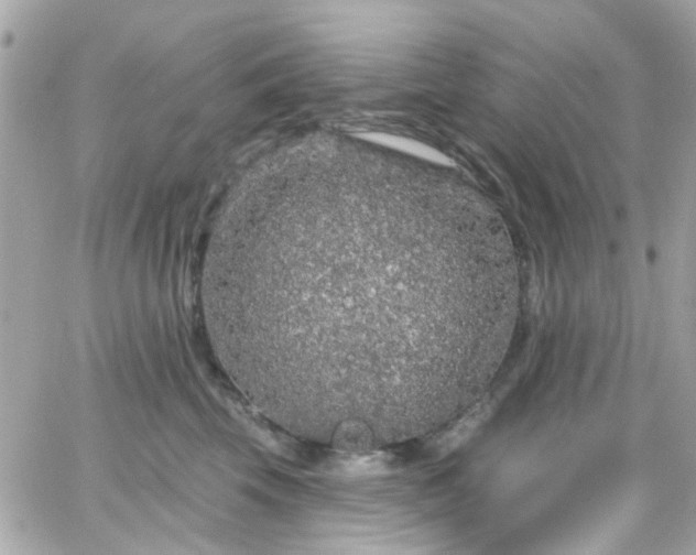 X0000066530569200603241404