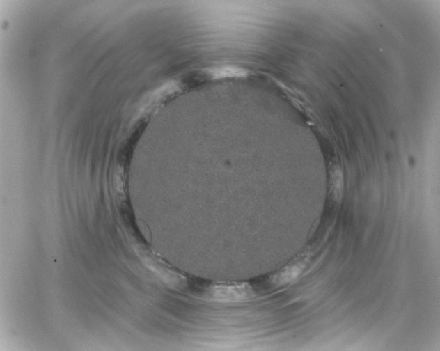 X0000066530571200603241404