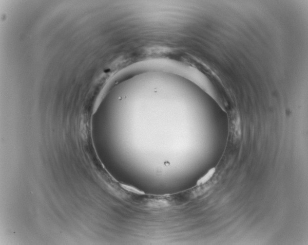 X0000066530572200603241405