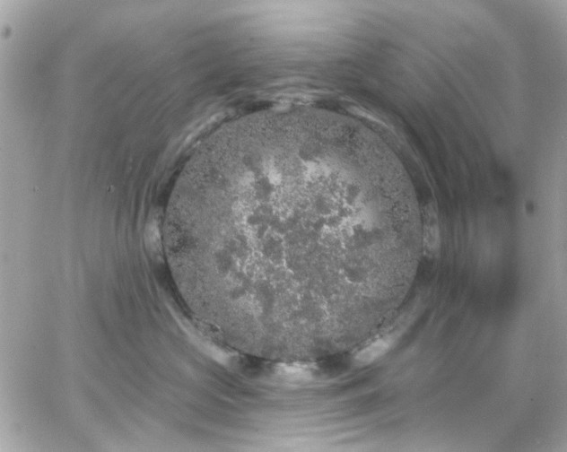 X0000066530573200603241405