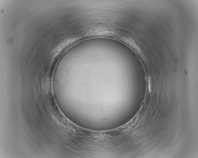 X0000066530579200603241404