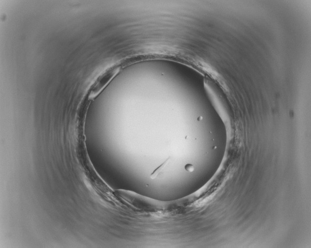 X0000066530580200603241404