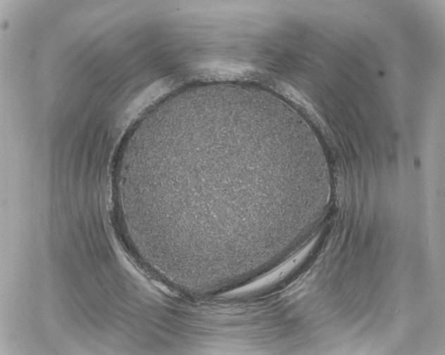 X0000066530582200603241404