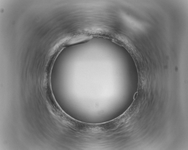 X0000066530583200603241404