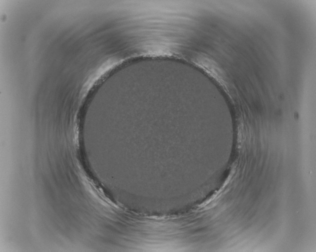 X0000066530584200603241404