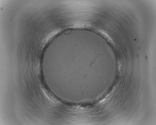 X0000066530588200603241404