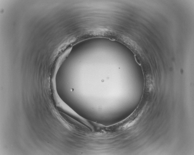 X0000066530589200603241404