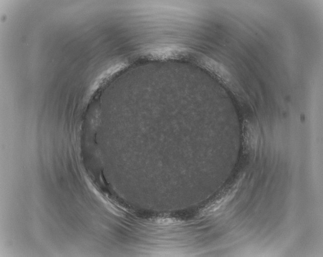 X0000066530590200603241404