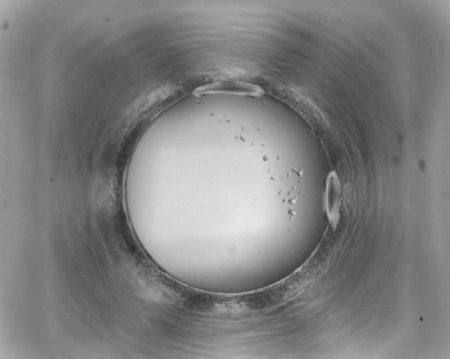 X0000066530591200603241404