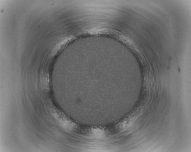 X0000066530592200603241404