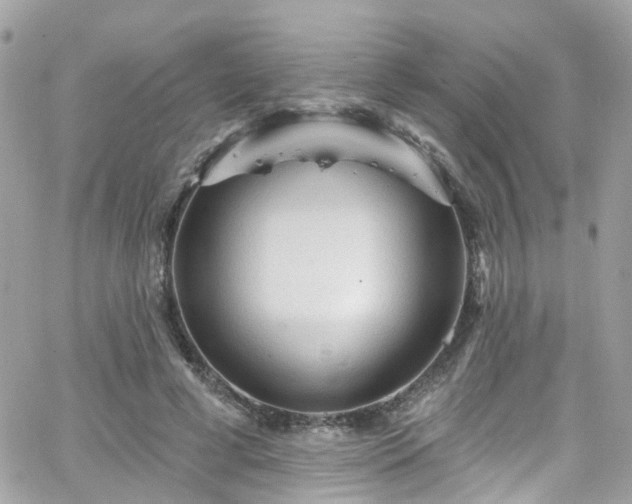 X0000066530593200603241404