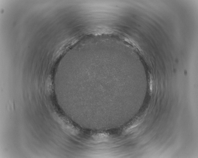 X0000066530594200603241404