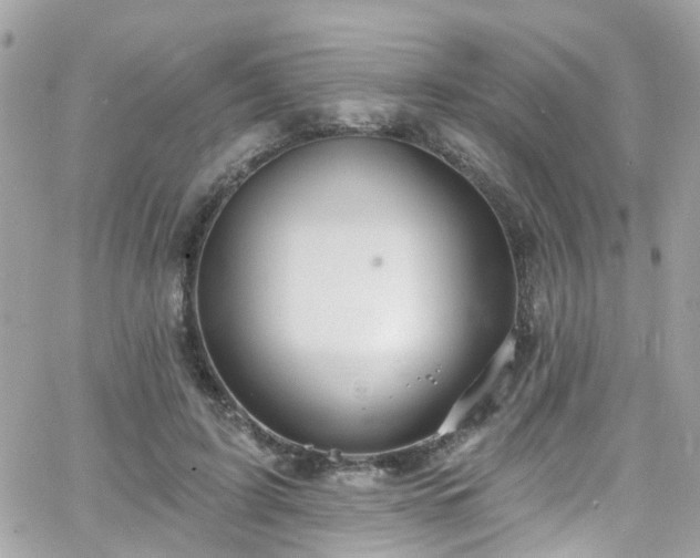 X0000066530595200603241403