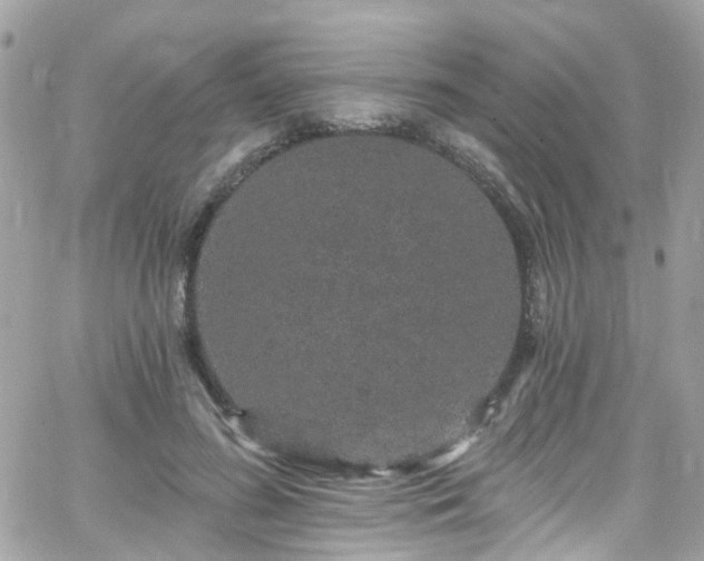 X0000066530596200603241403