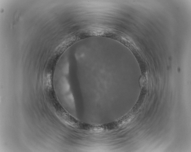 X0000066530598200603241403