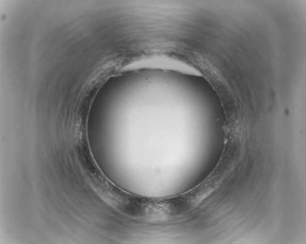 X0000066530599200603241403