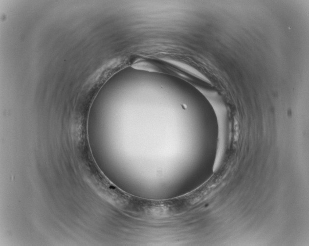 X0000066530600200603241403