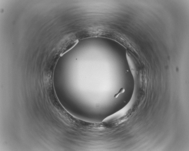 X0000066530601200603241403