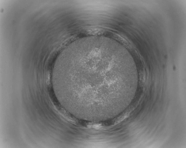 X0000066530602200603241403