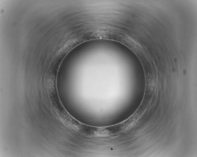 X0000066530603200603241403